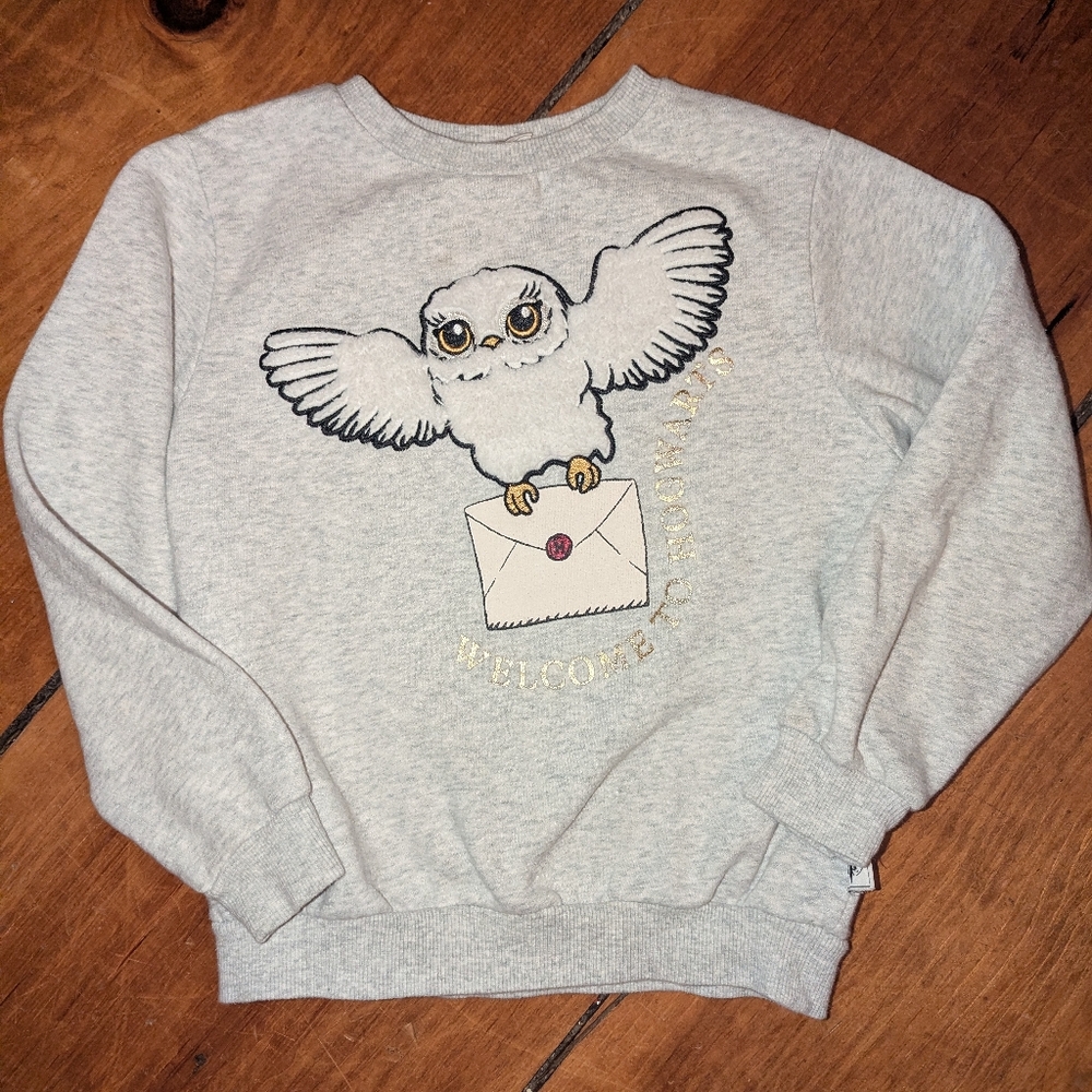 Harry Potter Sweatshirt Textured Owl Hedwig